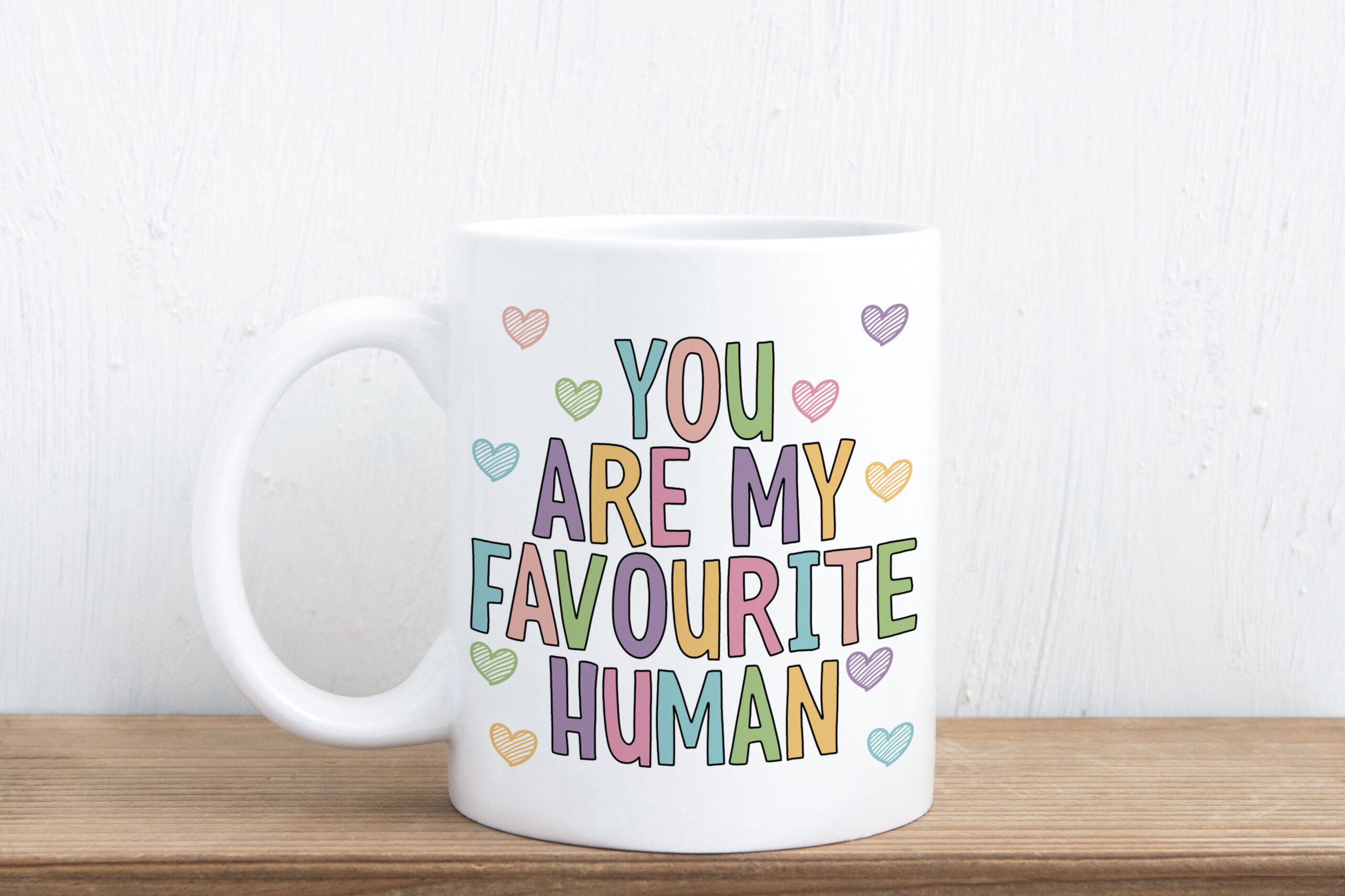 you are my favourite human gift mug for partner