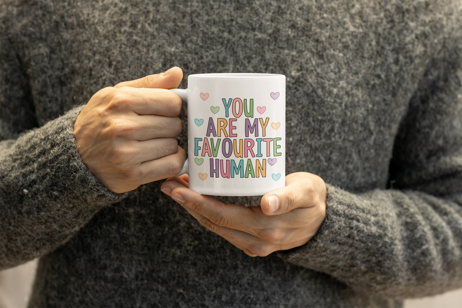 you are my favourite human gift mug for partner